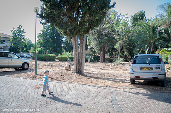 נינג׳ה מצוי בסביבה הטבעית (העתידית) שלו