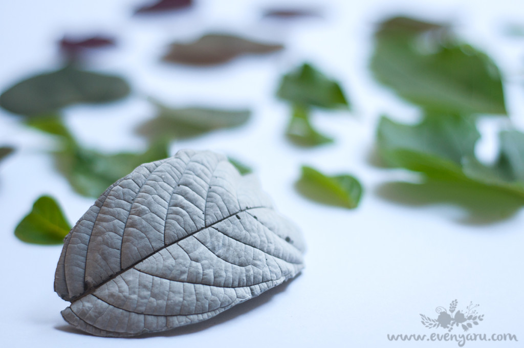 DIY Cement Leaves gift tag // evenyaru.com