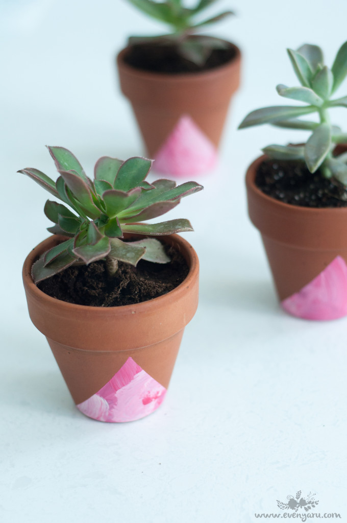  DIY decorated planters with kids // www.evenyaru.com