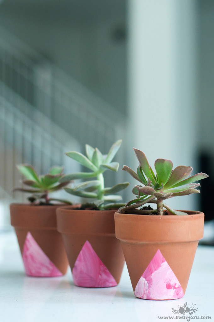  DIY decorated planters with kids // www.evenyaru.com